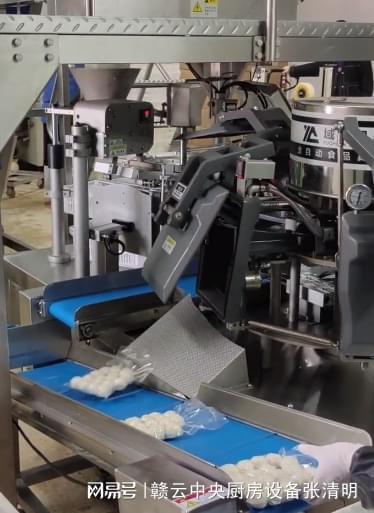 水產(chǎn)深加工做魚(yú)丸都需要哪些機(jī)器 全套自動(dòng)魚(yú)丸加工設(shè)備介紹